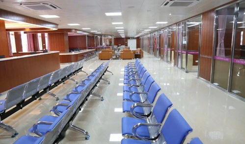 開平市一站式健康管理服務系統正式上線 信息系統集成服務全面啟用